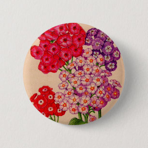 phlox in pink, red and lavender 6 cm round badge