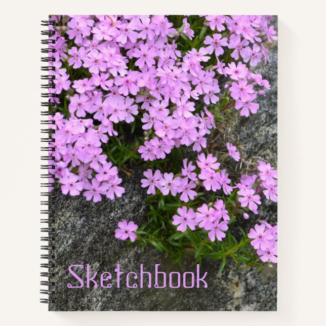 Phlox On Rocks Sketch Notebook (Front)
