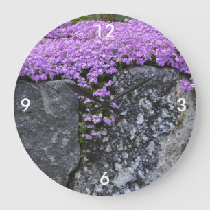 Phlox On Rocks Wall Clock