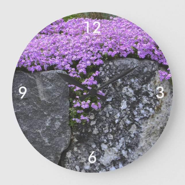Phlox On Rocks Wall Clock (Front)