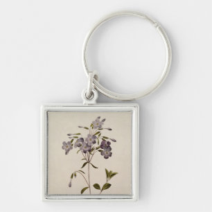 Phlox reptans key ring