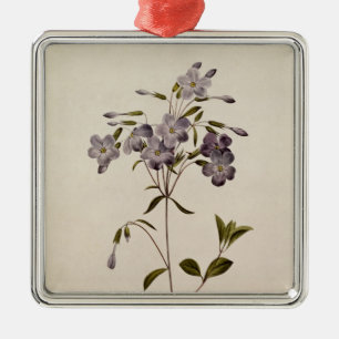 Phlox reptans metal tree decoration