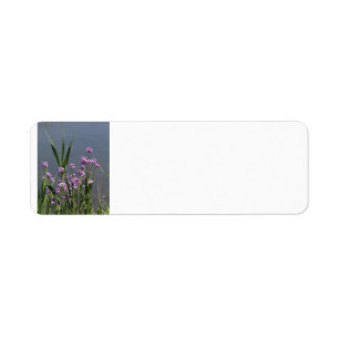 Phlox return address label