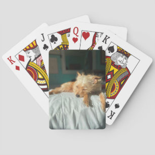 Phoboe Sleeping Playing Cards