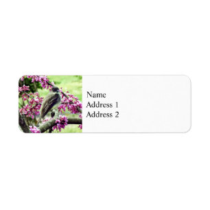 Phoebe in a Redbud Tree Return Address Label