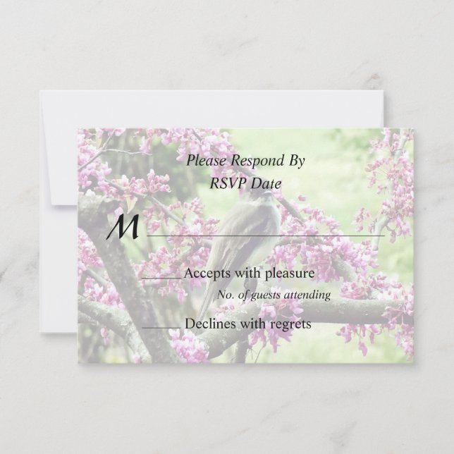 Phoebe in a Redbud Tree RSVP Card (Front)
