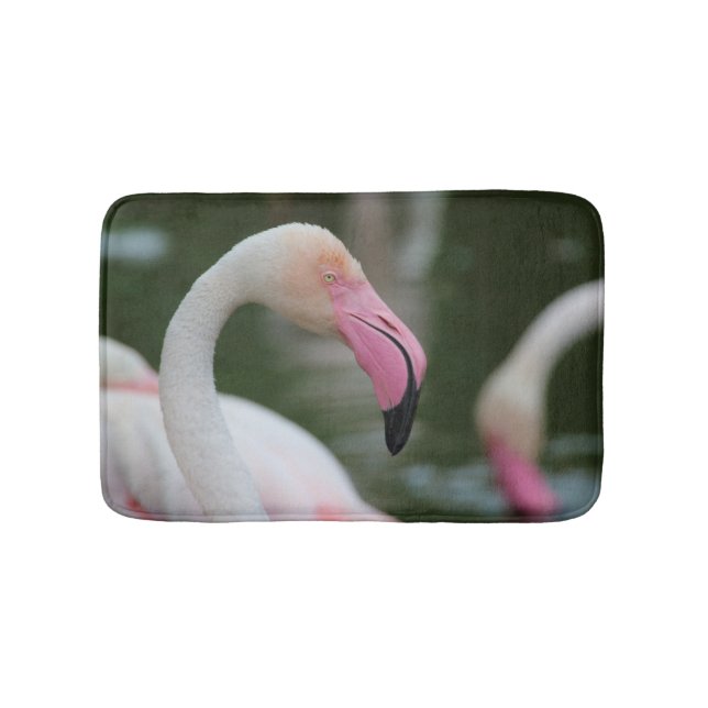 Phoenicopterus roseus bath mat (Front)