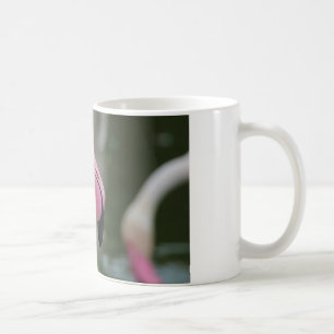 Phoenicopterus roseus coffee mug