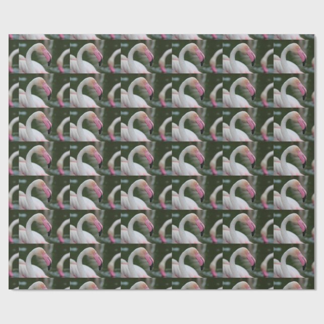 Phoenicopterus roseus wrapping paper (Flat)
