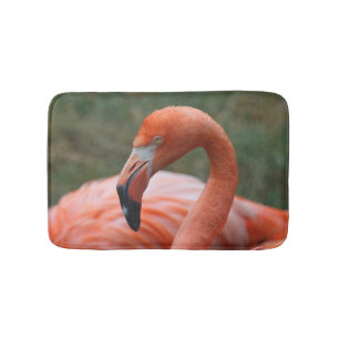 Phoenicopterus ruber bath mat