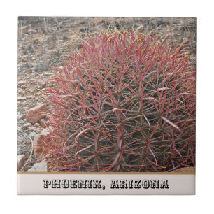 Phoenix Arizona Unique Red Barrel Cactus Photo Ceramic Tile