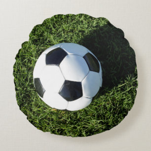 Phoenix, Arizona, USA. Round Cushion