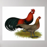 Phoenix: BB Red Pair