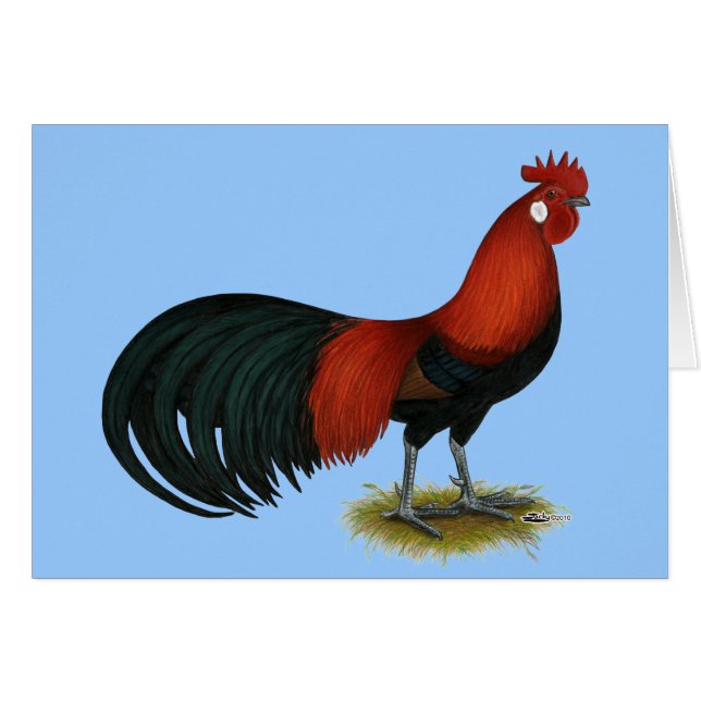 Phoenix:  BB Red Rooster (Front Horizontal)