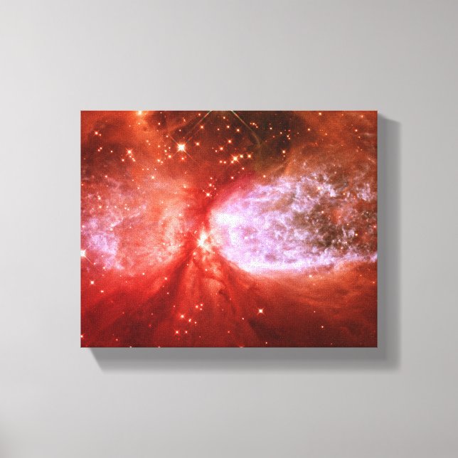 Phoenix Canvas Print (Front)