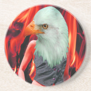 Phoenix Coaster
