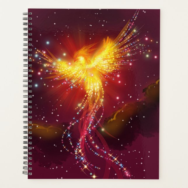 Phoenix in Flight Planner (Front)