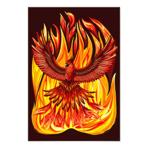 Phoenix mythological immortal Creature Photo Print