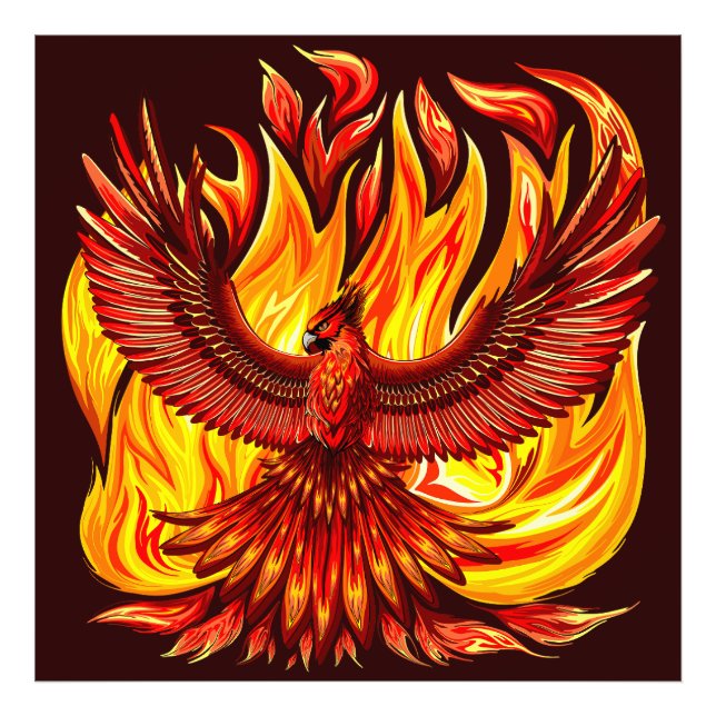 Phoenix mythological immortal Creature Photo Print (Front)