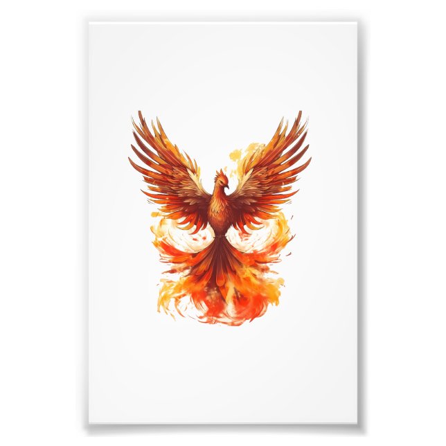 Phoenix Photo Print (Front)