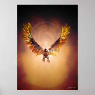 Phoenix Poster