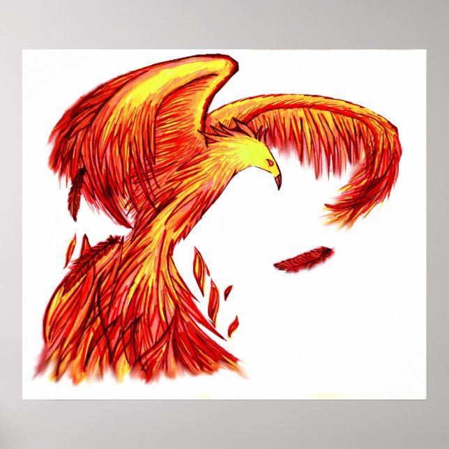 Phoenix Print (Front)