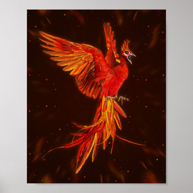 Phoenix Rising - # 1 Poster (Front)