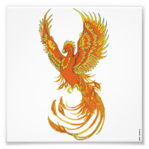 Phoenix Rising Photo Print