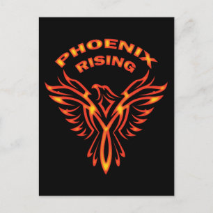 PHOENIX RISING POSTCARD