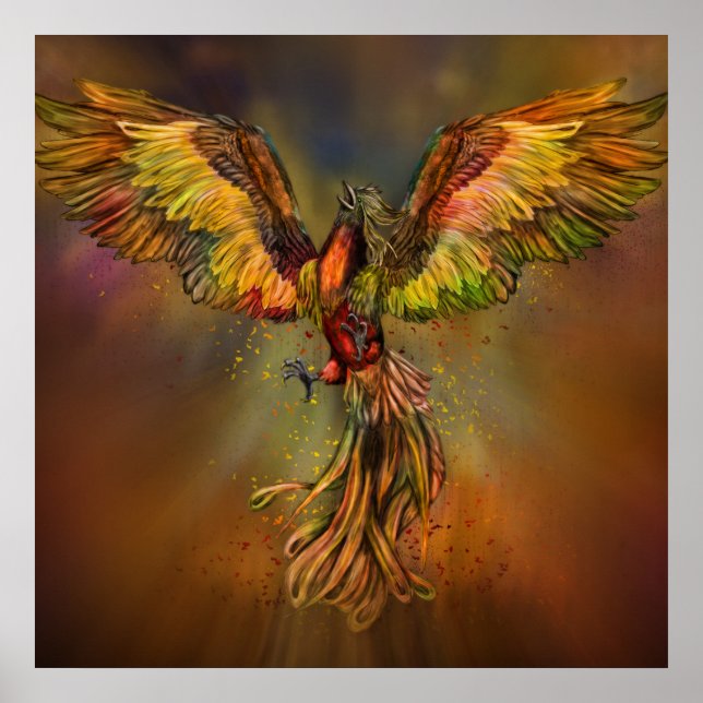Phoenix Rising Poster (Front)