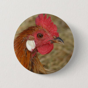 Phoenix Rooster 6 Cm Round Badge
