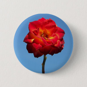 Phoenix Rose in the Sky-button 6 Cm Round Badge