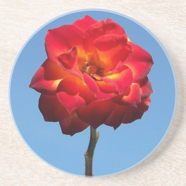Phoenix Rose in the Sky-coaster Coaster (Front)