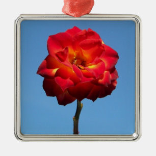 Phoenix Rose in the Sky-prem square ornament