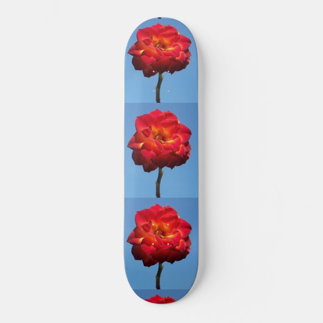 Phoenix Rose in the Sky-skateboard Skateboard (Front)