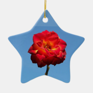 Phoenix Rose in the Sky-star ornament