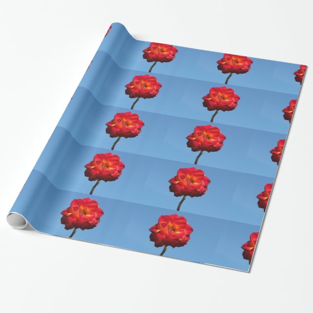 Phoenix Rose in the Sky-wrapping paper (Unrolled)