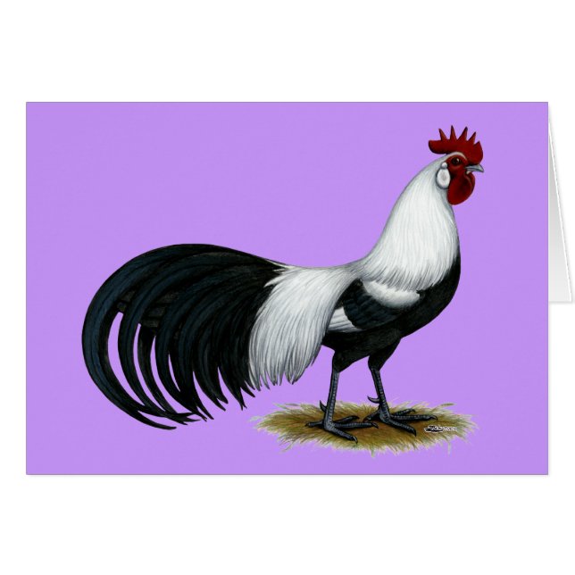 Phoenix:  Silver Duckwing Rooster (Front Horizontal)