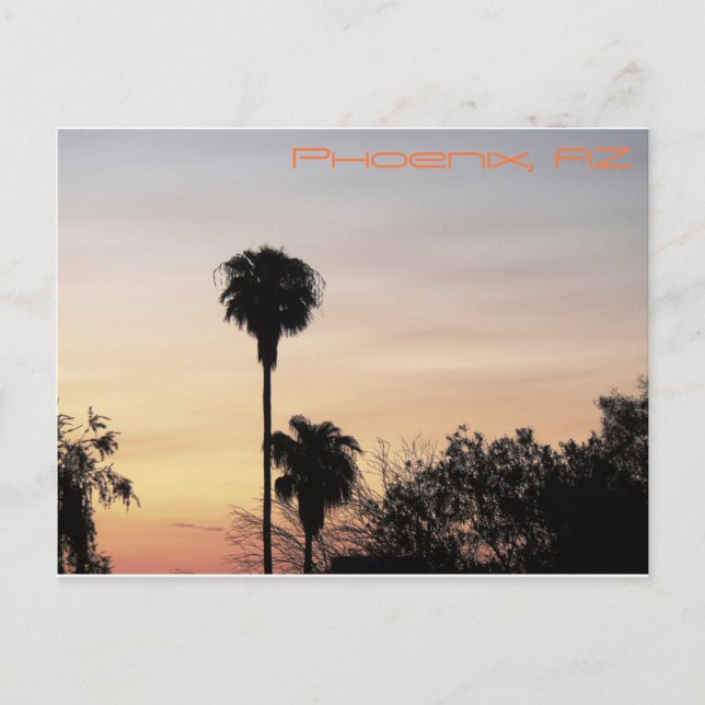 Phoenix Sunset Postcard (Front)