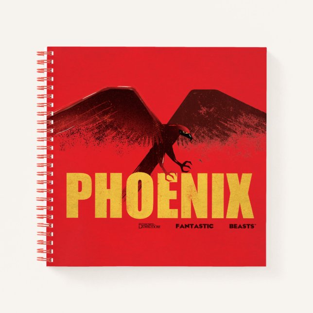 Phoenix Vingate Graphic Notebook (Front)