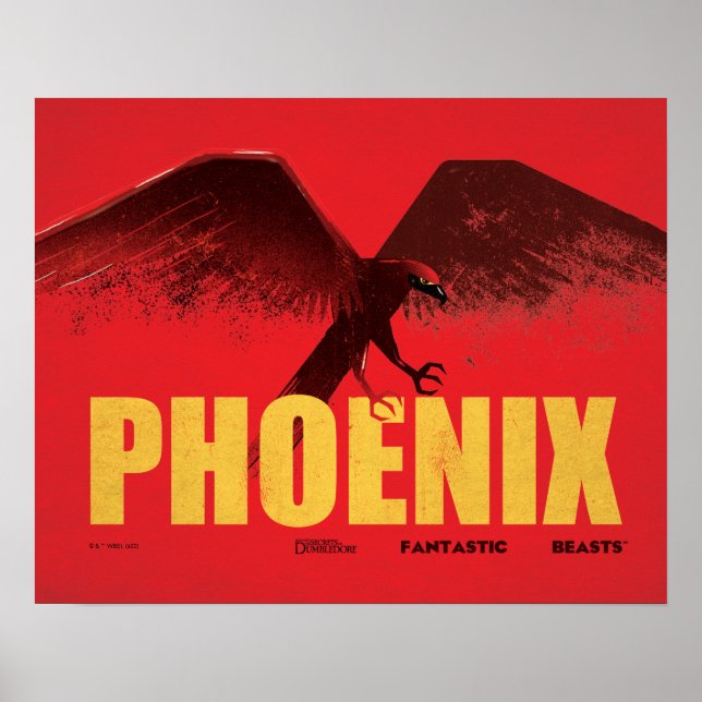 Phoenix Vingate Graphic Poster (Front)
