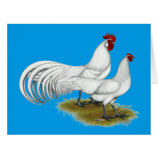 Phoenix:  White Pair (Front Horizontal)