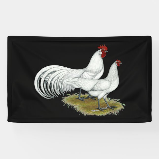 Phoenix:  White Pair Banner (Horizontal)