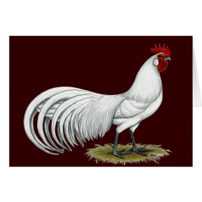 Phoenix:  White Rooster (Front Horizontal)