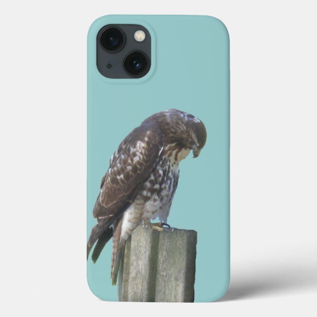 Phone Case - Falcon (Back)
