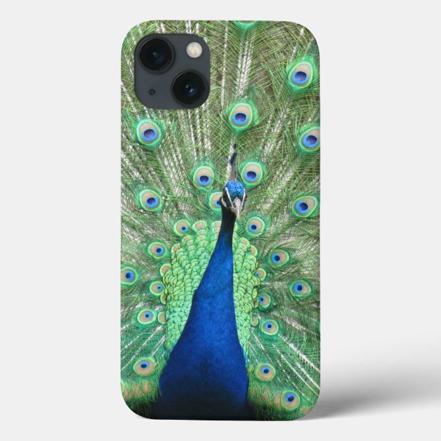 Phone Case - Proud Peacock (Back)