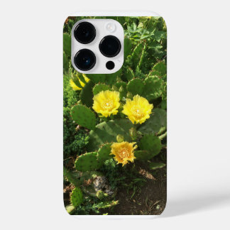 Phone case with cactus picture
