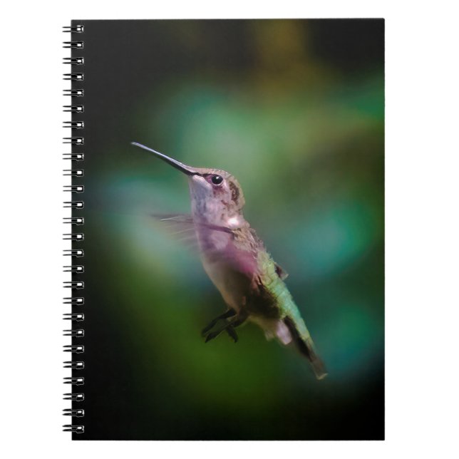 phone notebook (Front)