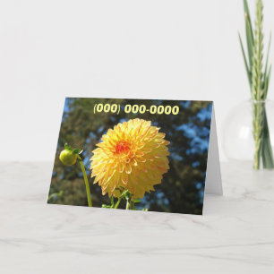 Phone Number Greeting Cards Call Me Please