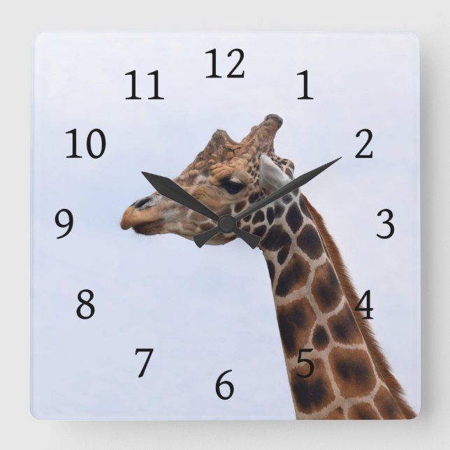 Photo 106 Giraffe Square Wall Clock (Front)